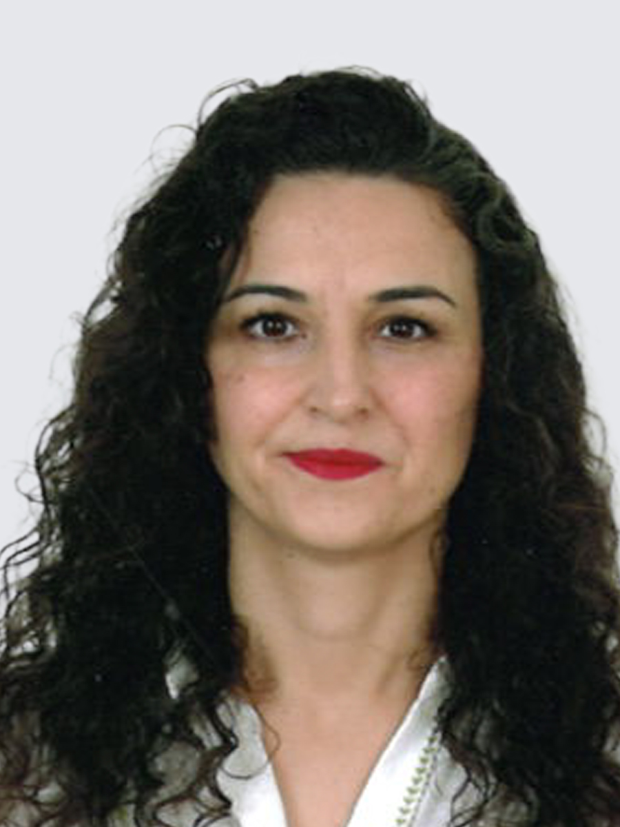 Aysun KALEM
